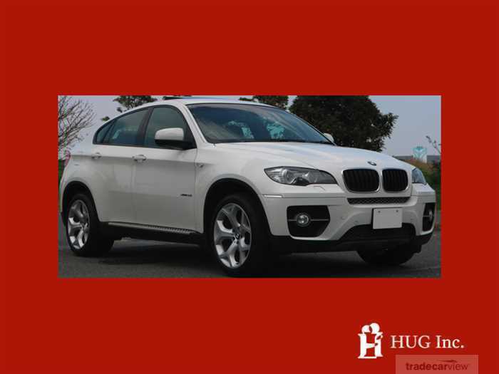 2010 BMW X6