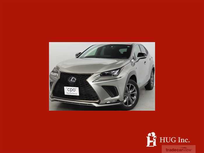 2019 Lexus NX