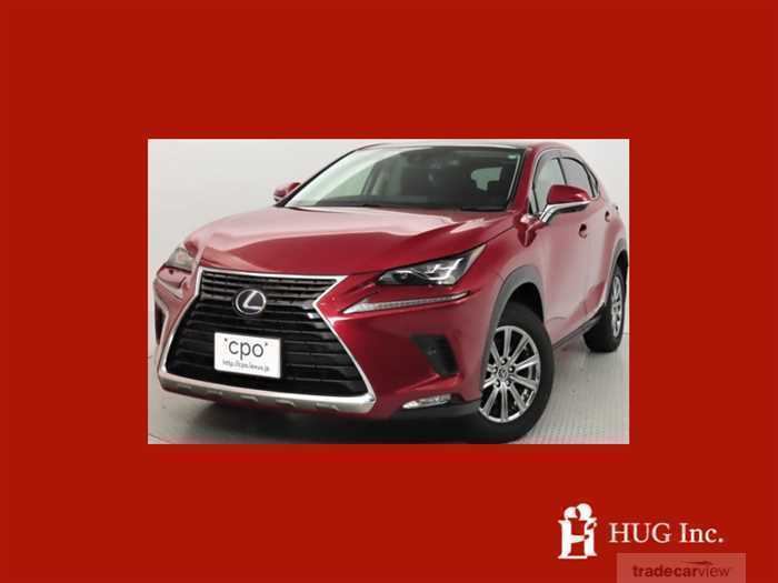 2021 Lexus NX