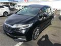 2016 Honda Civic Shuttle