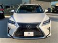 2019 Lexus RX