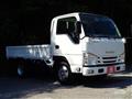 2018 Isuzu Elf Truck