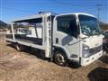 2009 Isuzu Elf Truck