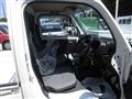 2019 Suzuki Carry Truck