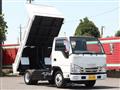 2019 Isuzu Elf Truck