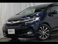 2017 Honda Civic Shuttle