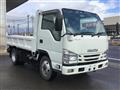 2019 Isuzu Elf Truck