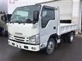 2019 Isuzu Elf Truck