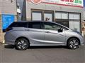 2019 Honda Civic Shuttle