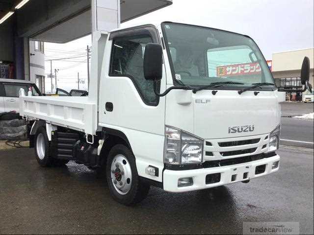 2019 Isuzu Elf Truck