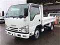 2019 Isuzu Elf Truck