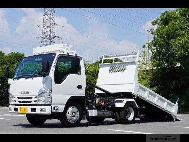 2019 Isuzu Elf Truck