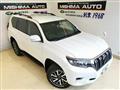 2019 Toyota Land Cruiser Prado