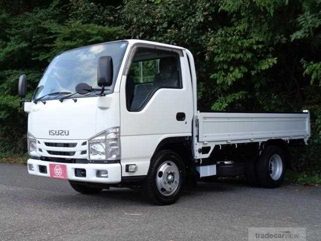 2019 Isuzu Elf Truck