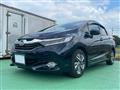 2017 Honda Civic Shuttle