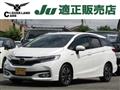 2017 Honda Civic Shuttle