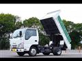 2021 Isuzu Elf Truck