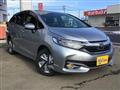 2018 Honda Civic Shuttle