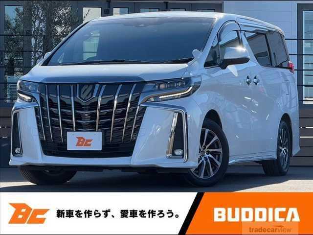 1991 Toyota Alphard G