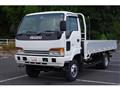 1999 Isuzu Elf Truck