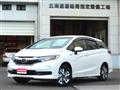 2019 Honda Civic Shuttle