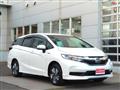 2019 Honda Civic Shuttle