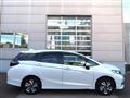 2019 Honda Civic Shuttle