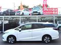 2019 Honda Civic Shuttle