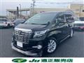 2015 Toyota Alphard G