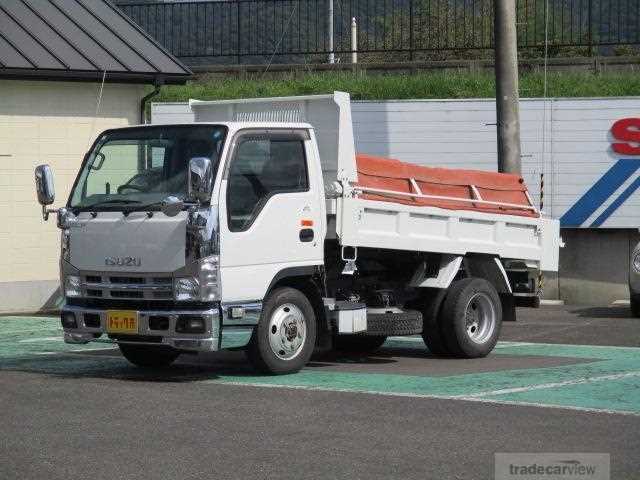 2017 Isuzu Elf Truck