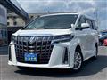 2019 Toyota Alphard G