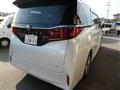 2023 Toyota Alphard G