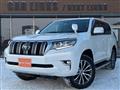 2019 Toyota Land Cruiser Prado