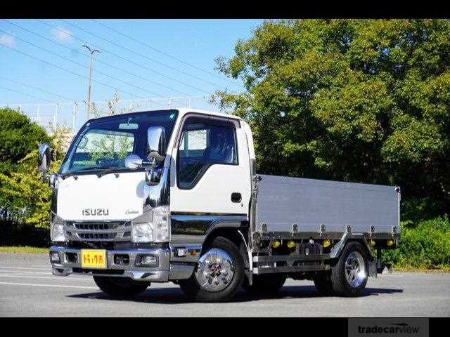 2020 Isuzu Elf Truck