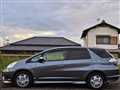 2013 Honda Fit shuttle