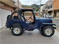 1990 Mitsubishi Jeep