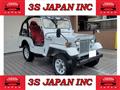 1995 Mitsubishi Jeep