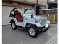 1995 Mitsubishi Jeep