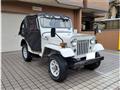 1995 Mitsubishi Jeep