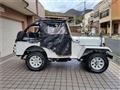 1995 Mitsubishi Jeep