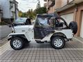 1995 Mitsubishi Jeep