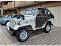 1995 Mitsubishi Jeep