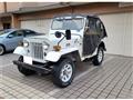 1995 Mitsubishi Jeep