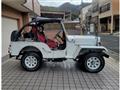 1995 Mitsubishi Jeep