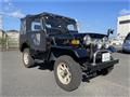 1994 Mitsubishi Jeep