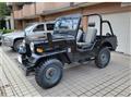 1995 Mitsubishi Jeep