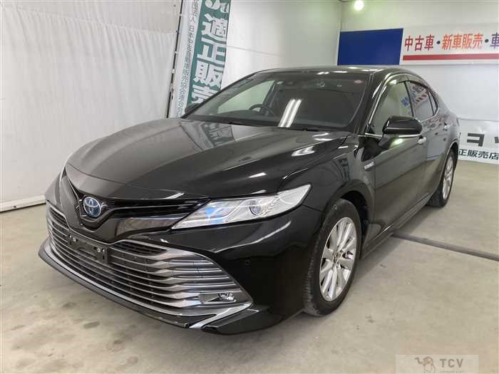 2019 Toyota Camry Hybrid