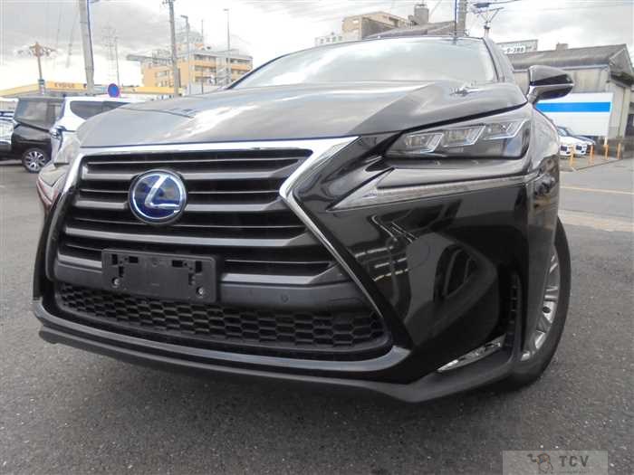 2015 Lexus NX