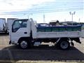 2019 Isuzu Elf Truck