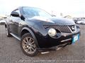 2010 Nissan Juke